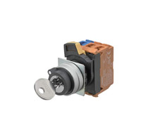 A22NK-2ML-01BA-G101 bild